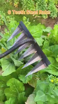 5 Teeth Carbon Steel Garden Weeding